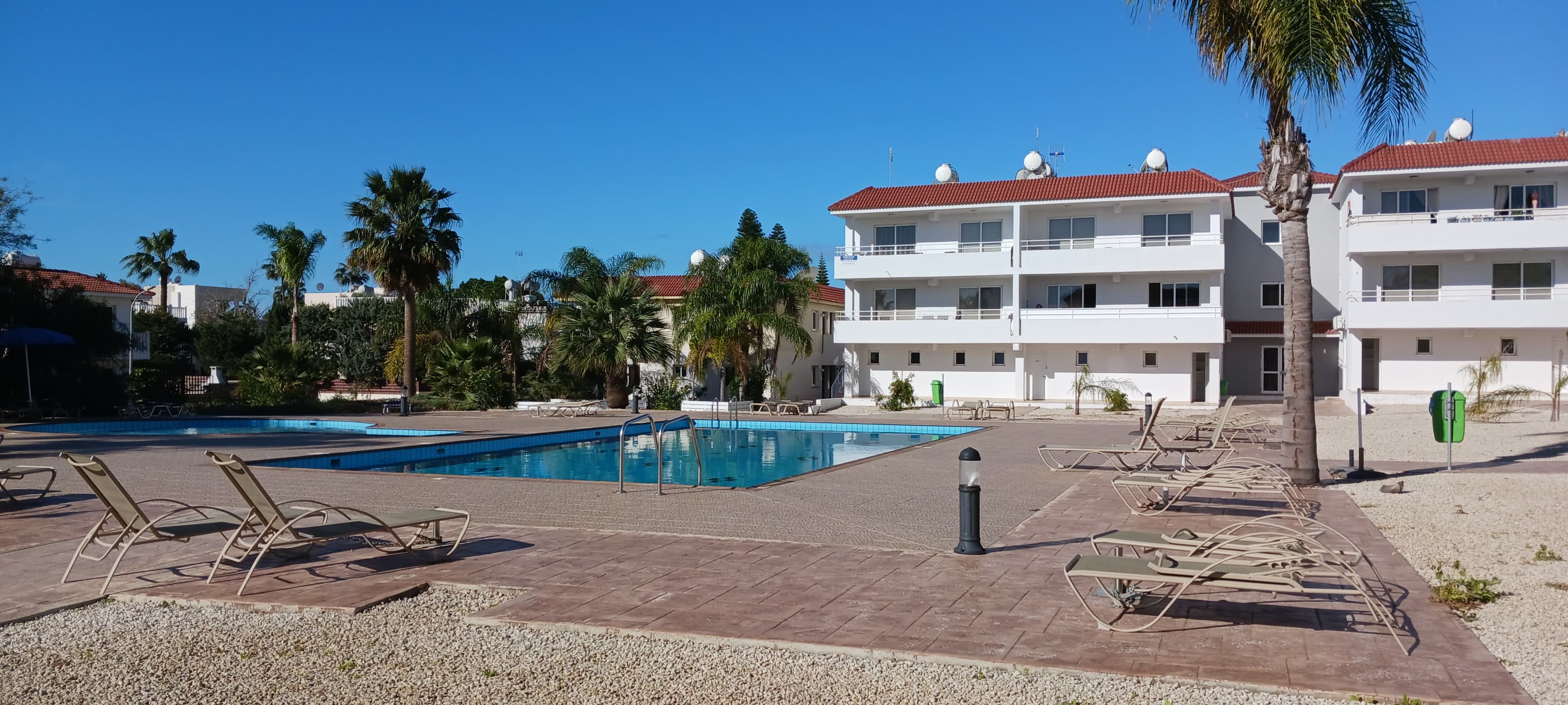 Large communal swimming pool with sun loungers and palm trees under a blue sky